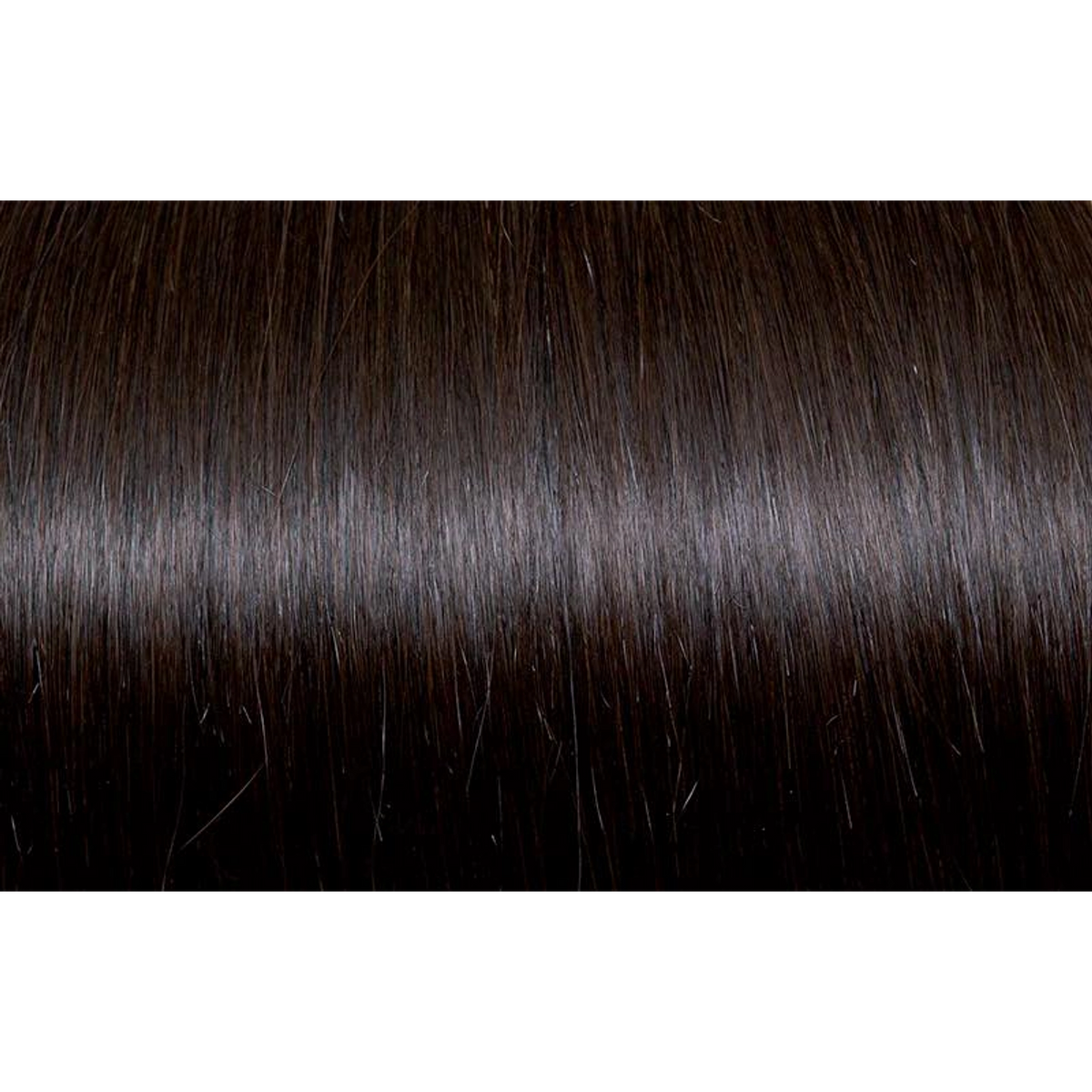Seiseta - Hair Color | Najafi Cosmetics