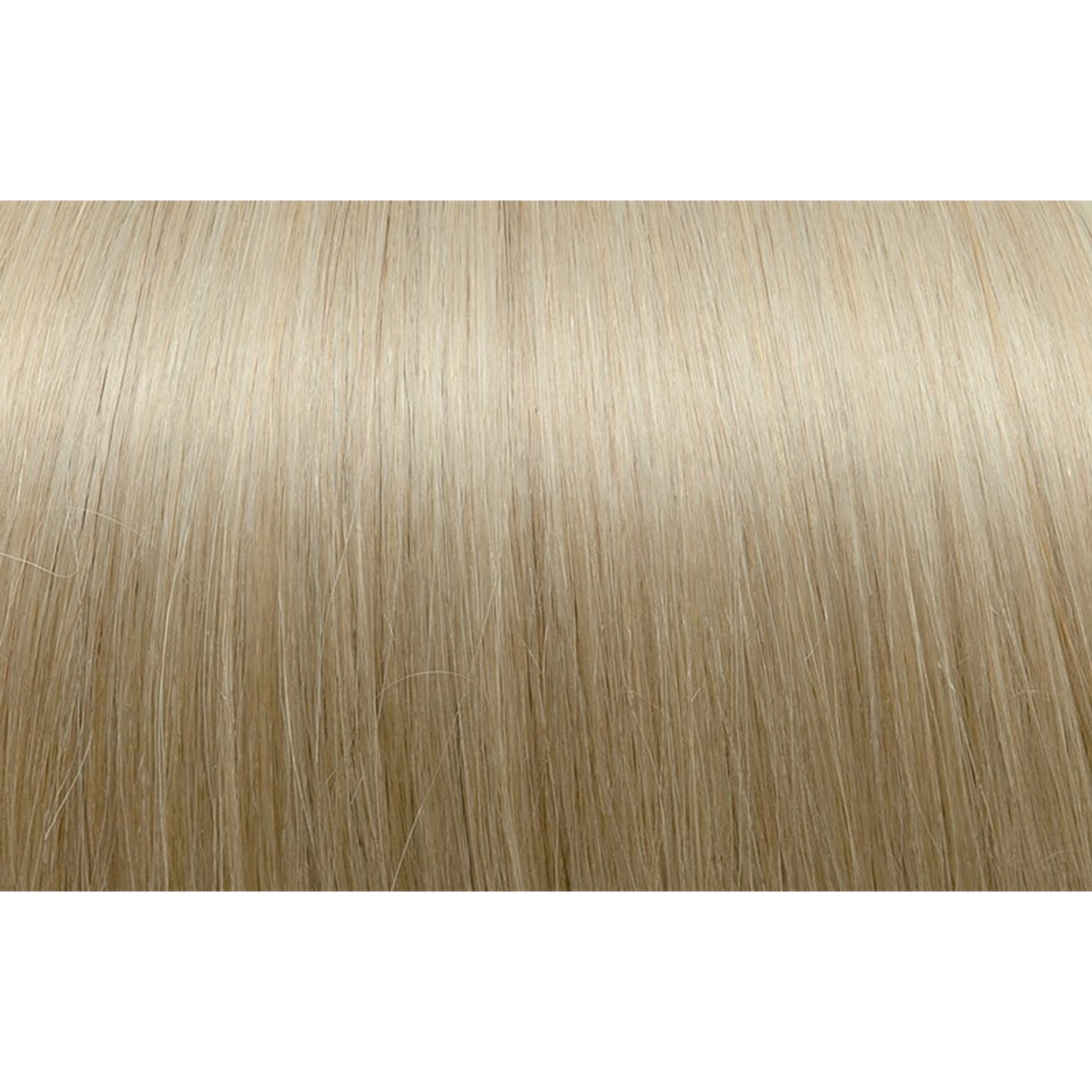 Seiseta - Hair Color | Najafi Cosmetics