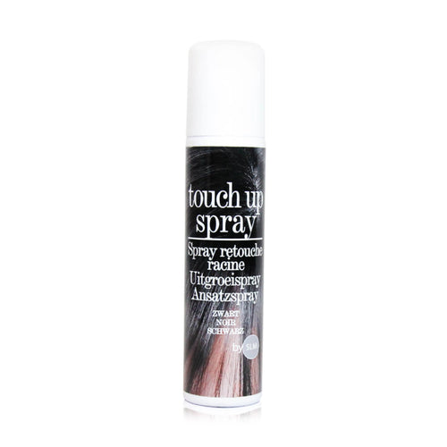 Part Fun - Root Touch-Up Spray - Touch Up Spray by SLM - Black 75ml