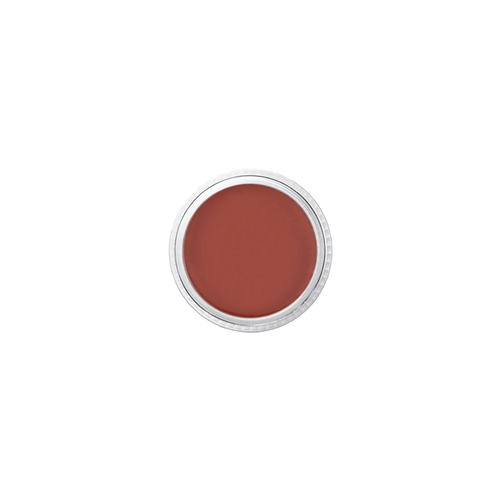 Ben Nye - Lipstick - Classic Lip Colors LCS-6 Natural Brown