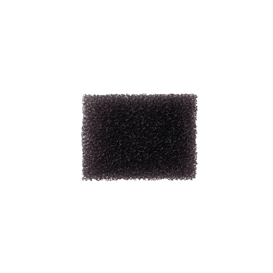 BenNye - Concealer | Najafi Cosmetics