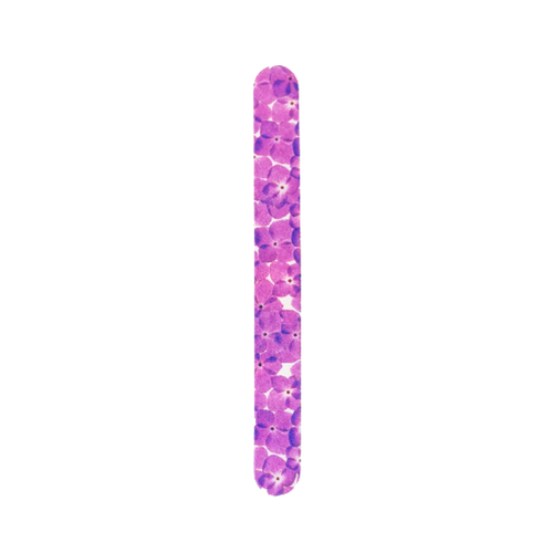 Best Choice - Nail Care - Design Nail File