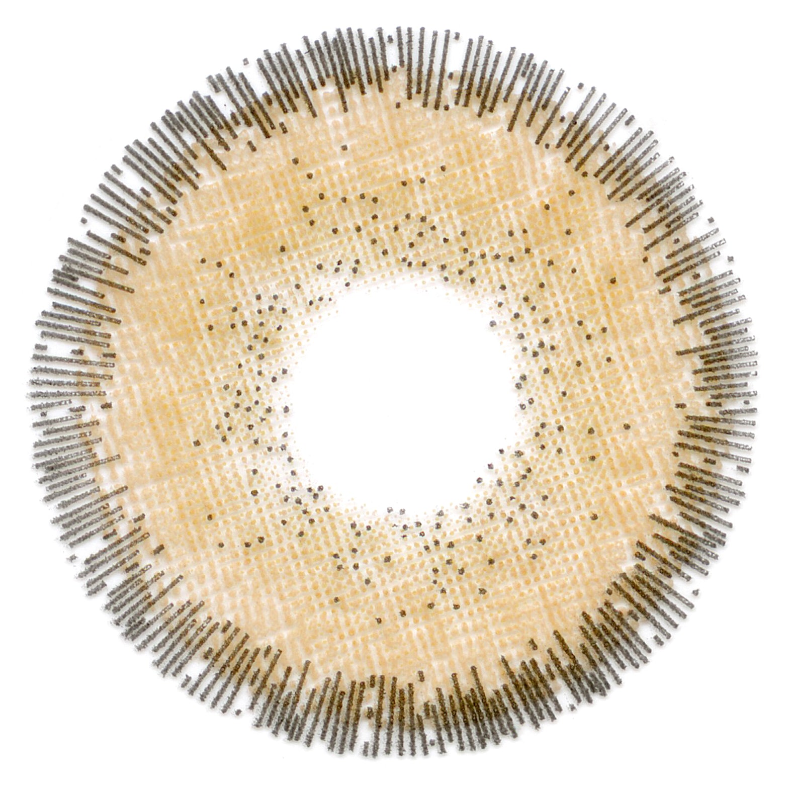 Merry - Hazel Gradient Contact Lenses