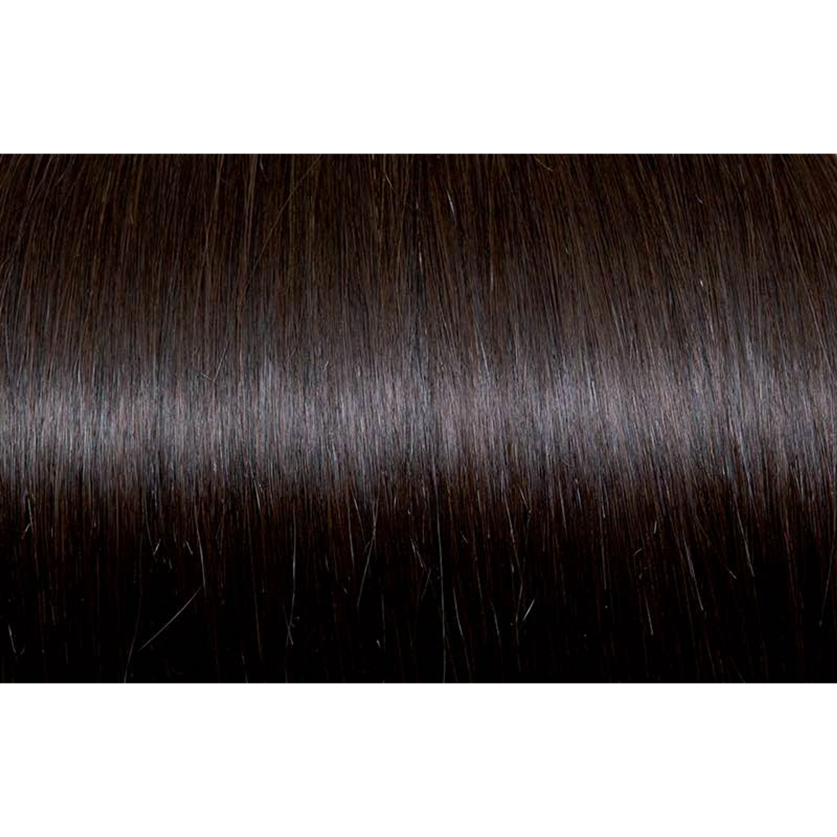 Seiseta - Hair Color | Najafi Cosmetics