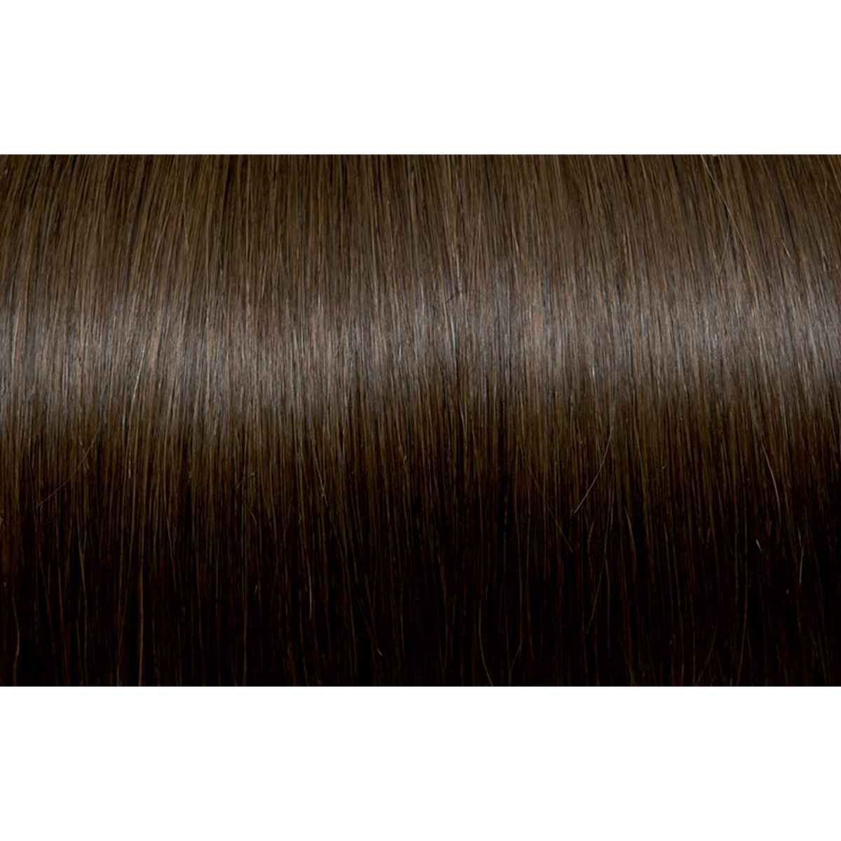 Seiseta - Hair Color | Najafi Cosmetics