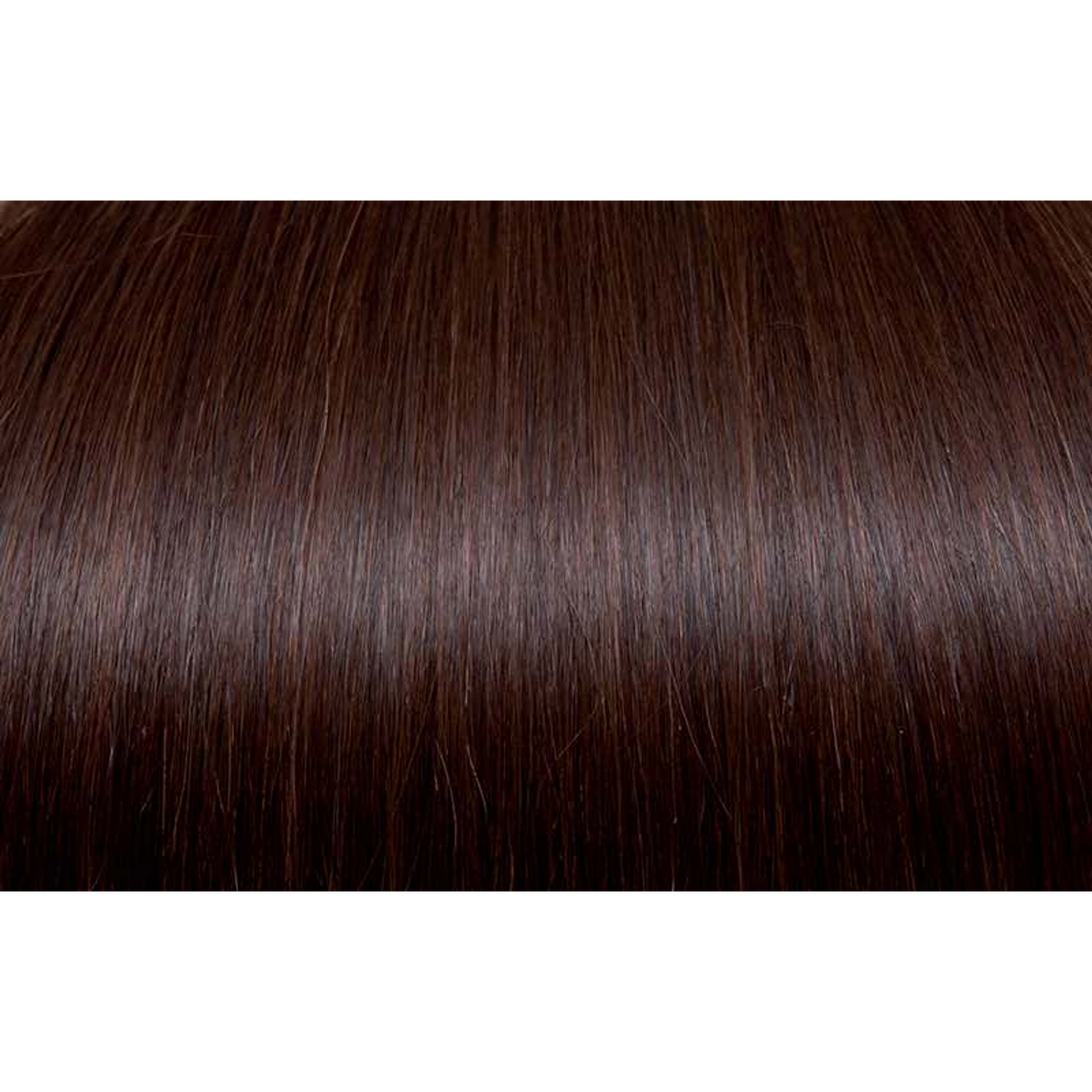 Seiseta - Hair Color | Najafi Cosmetics