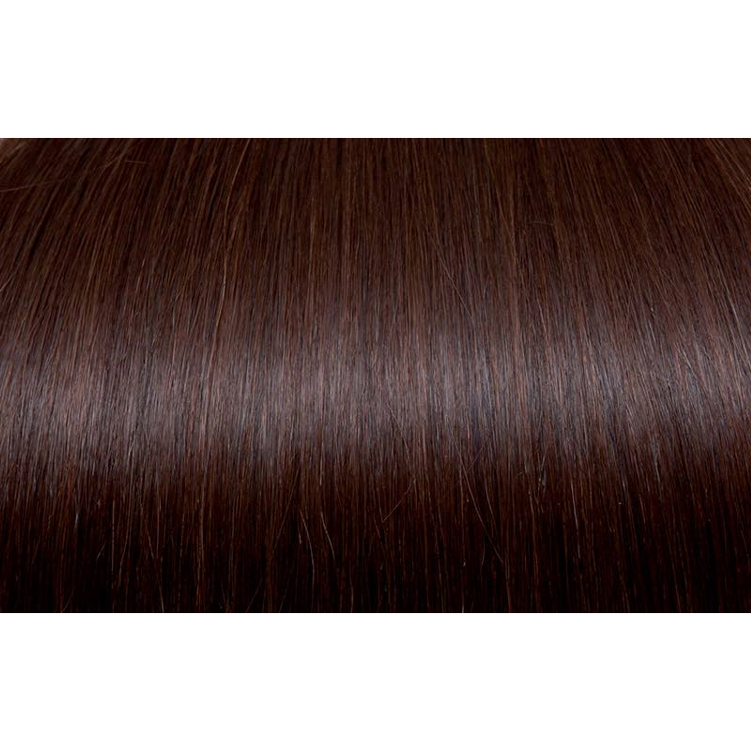 Seiseta - Hair Color | Najafi Cosmetics