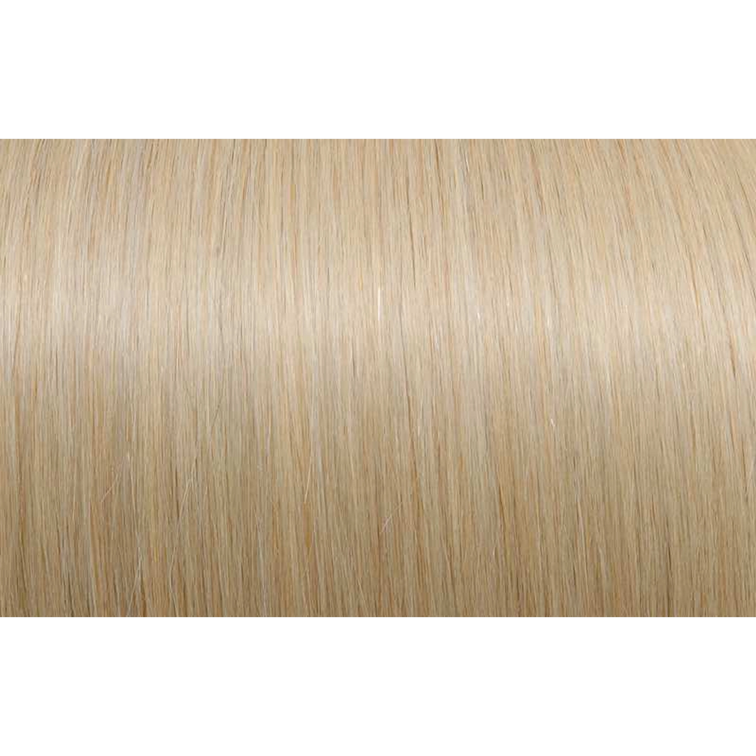 Seiseta - Hair Color | Najafi Cosmetics