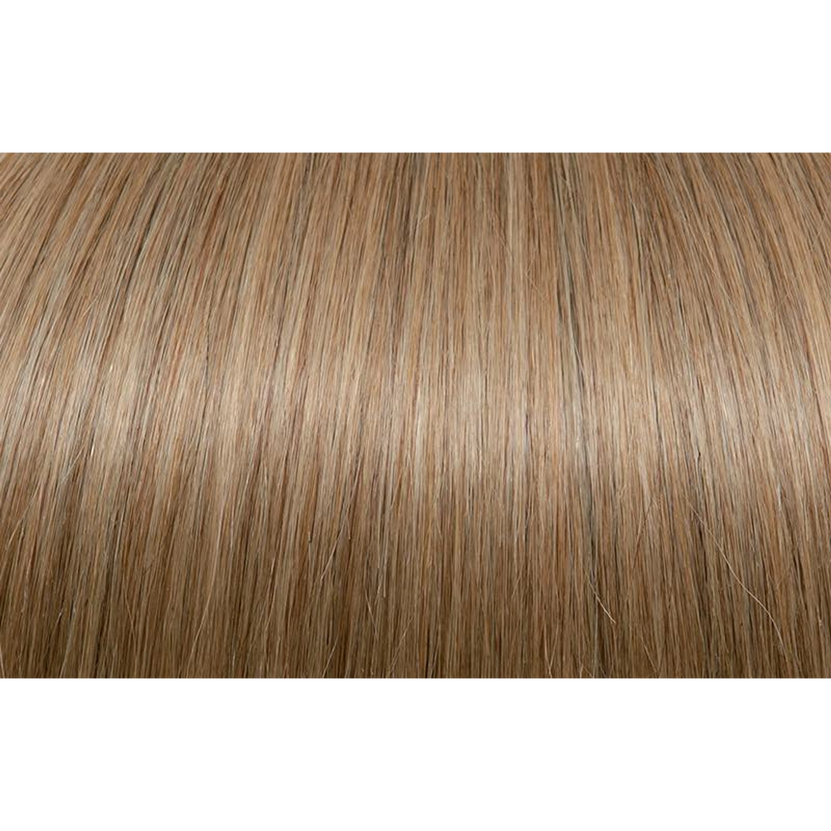 Seiseta - Hair Color | Najafi Cosmetics