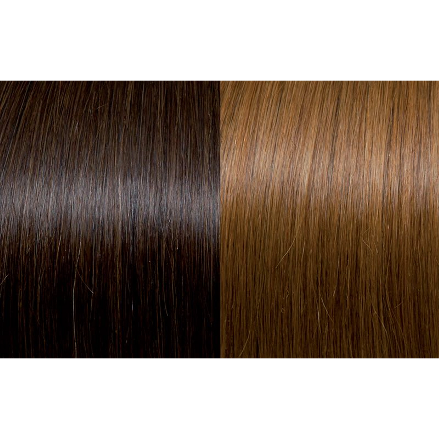 Seiseta Hair | Najafi Cosmetics