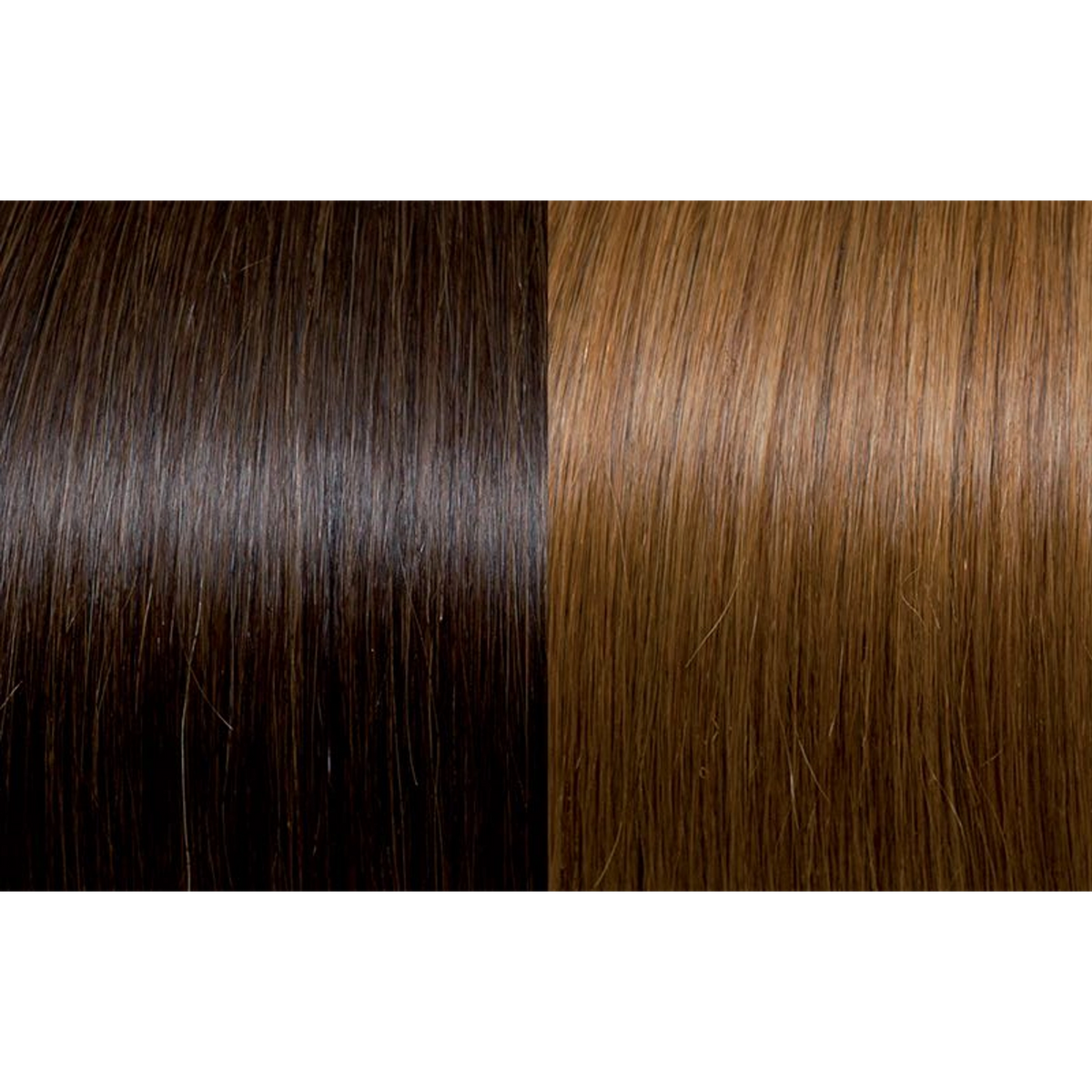 Seiseta Hair | Najafi Cosmetics