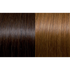 Seiseta Hair | Najafi Cosmetics