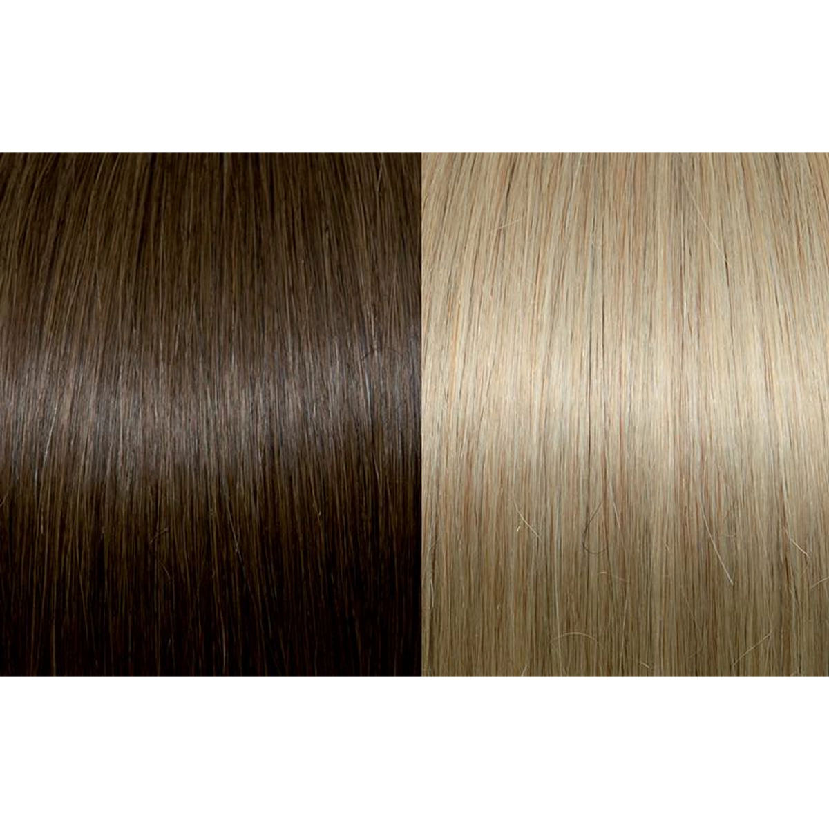 Seiseta Hair | Najafi Cosmetics