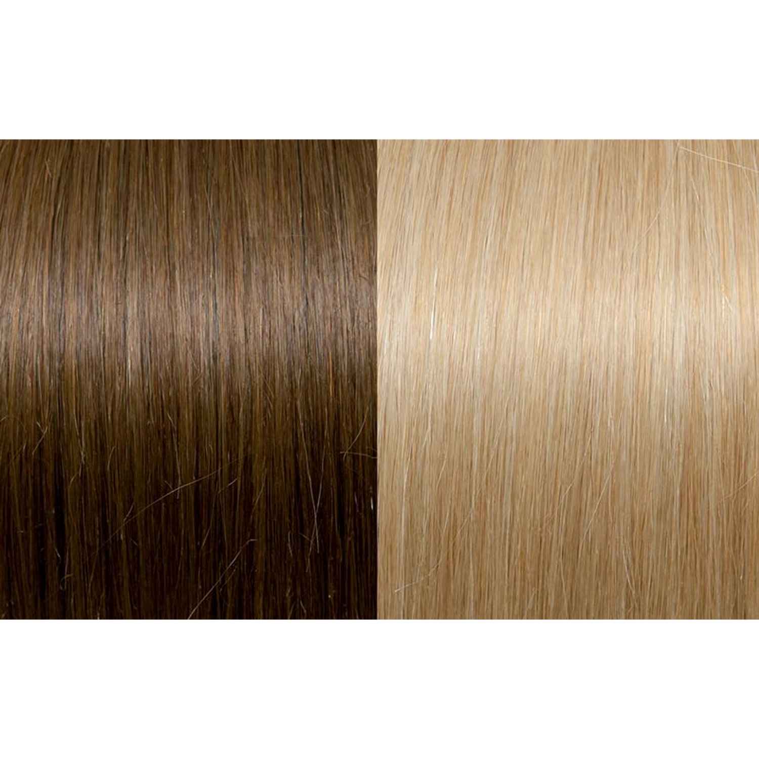 Seiseta Hair | Najafi Cosmetics