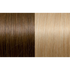 Seiseta Hair | Najafi Cosmetics