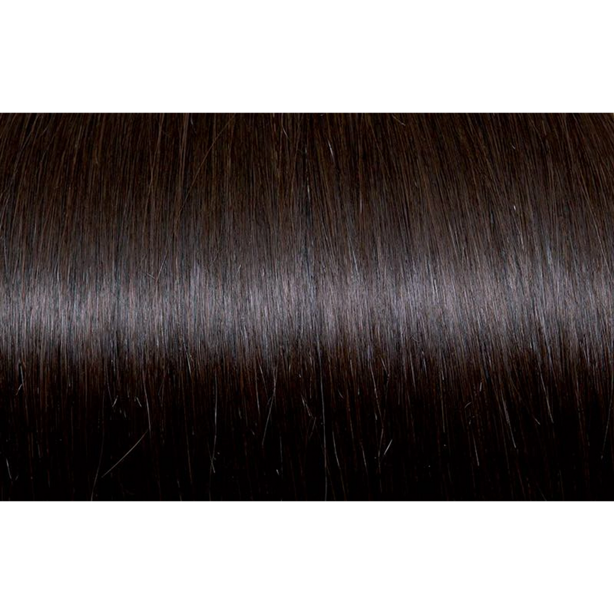Seiseta Hair | Najafi Cosmetics
