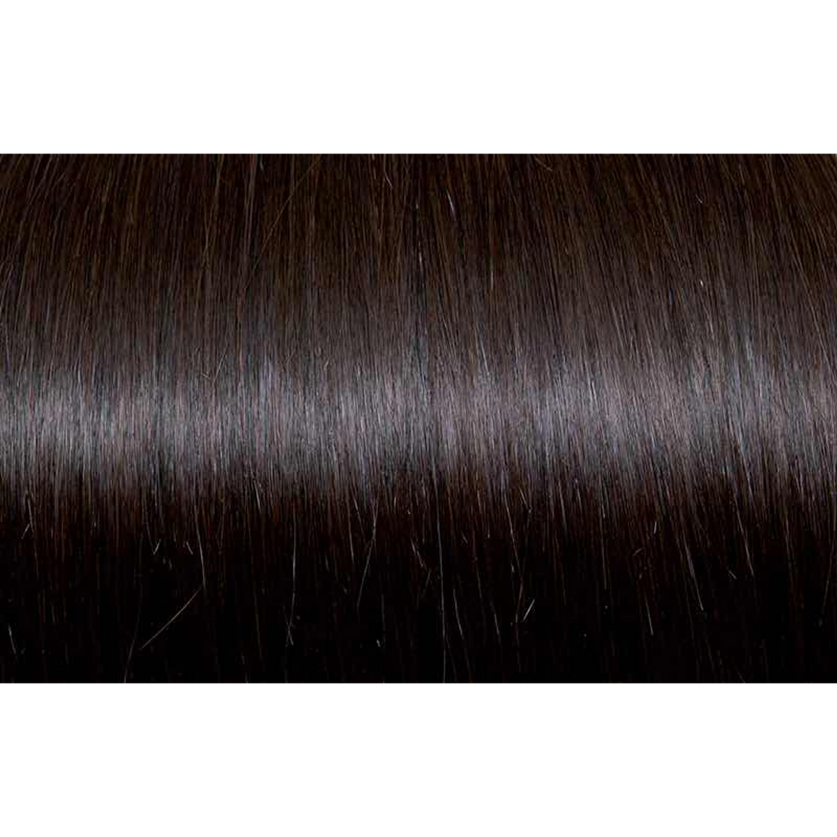 Seiseta - Hair Color | Najafi Cosmetics
