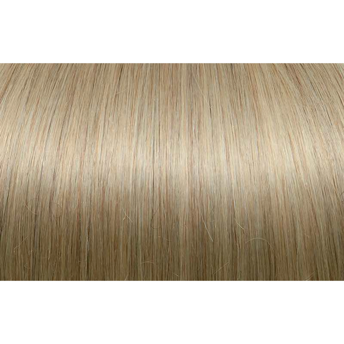 Seiseta Hair | Najafi Cosmetics