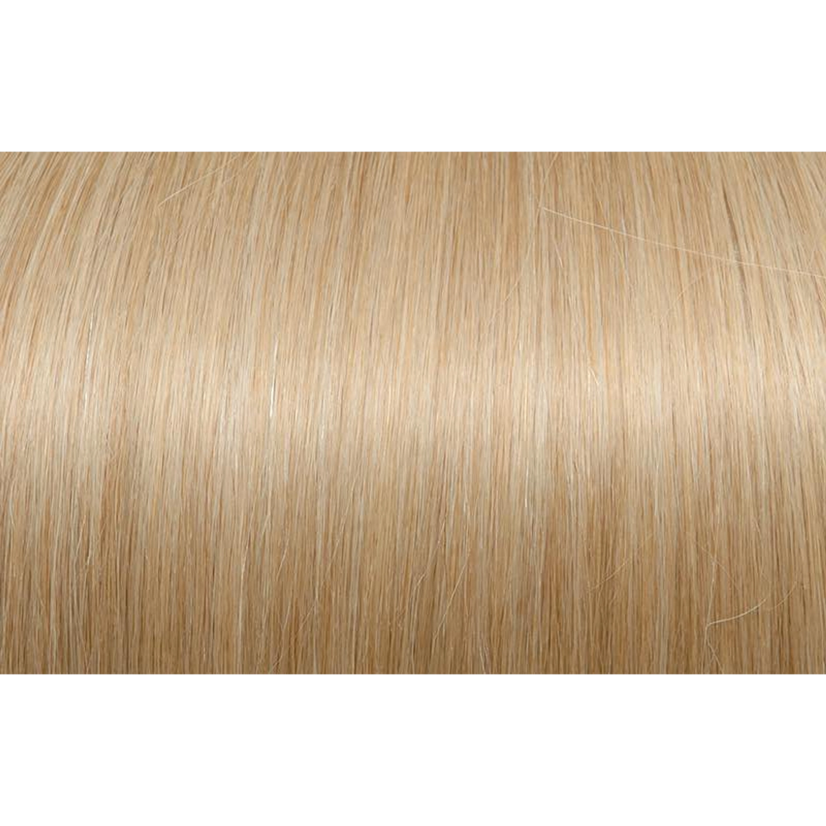 Seiseta Hair | Najafi Cosmetics