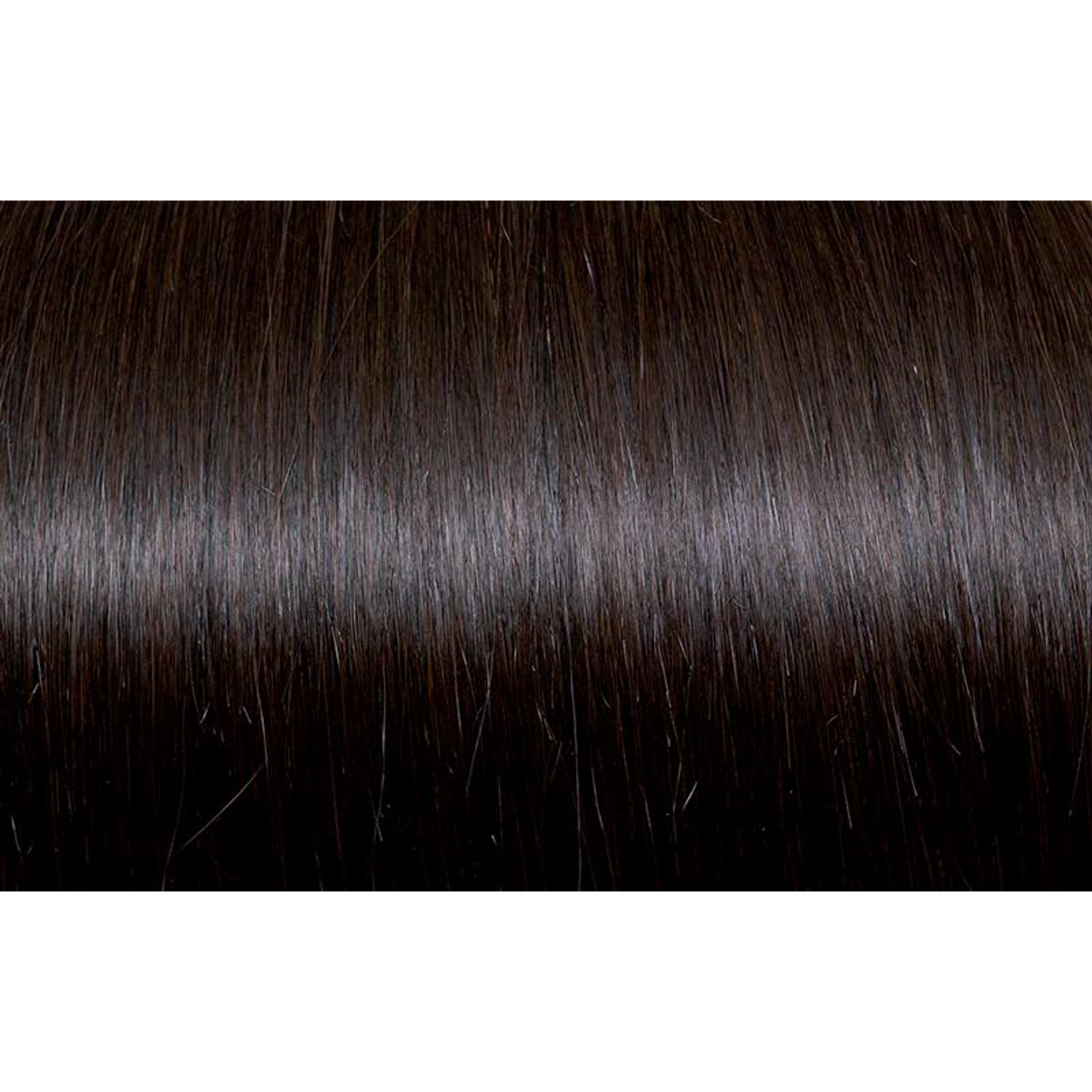 Seiseta - Hair Color | Najafi Cosmetics