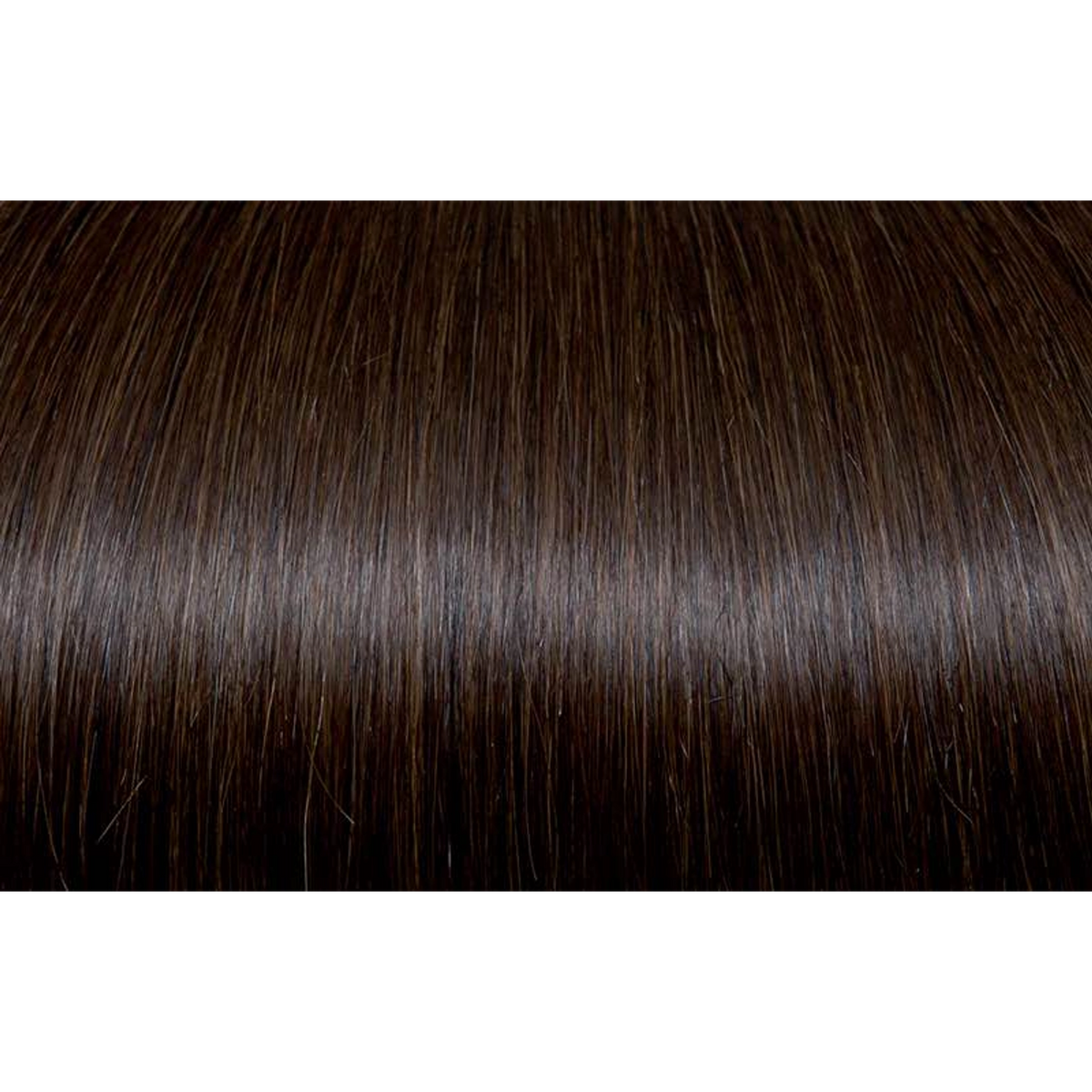 Seiseta - Hair Color | Najafi Cosmetics