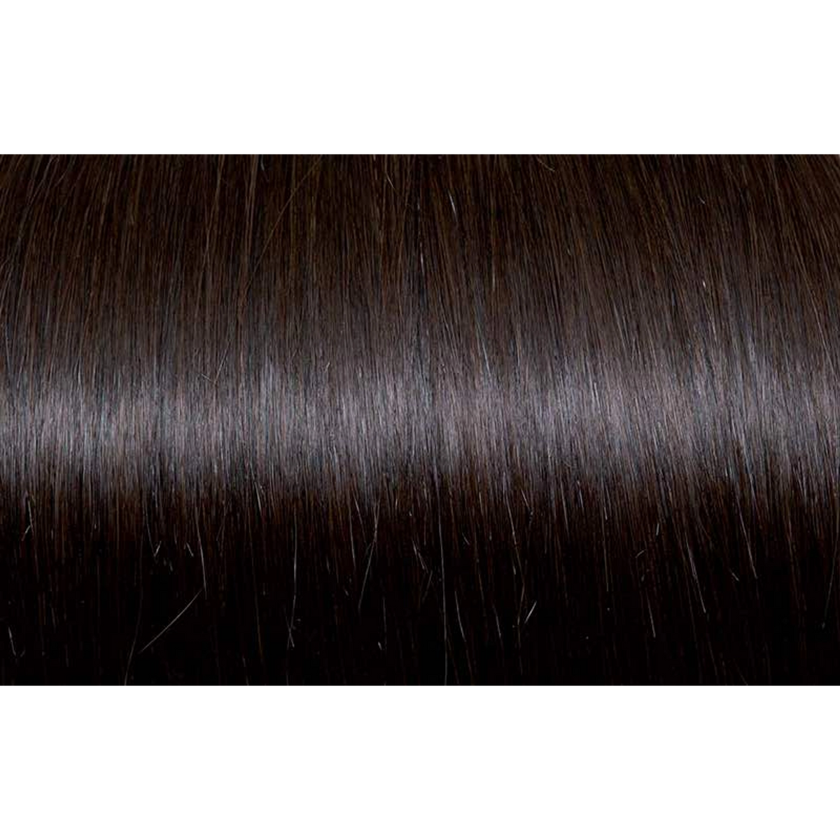 Seiseta - Hair Color | Najafi Cosmetics