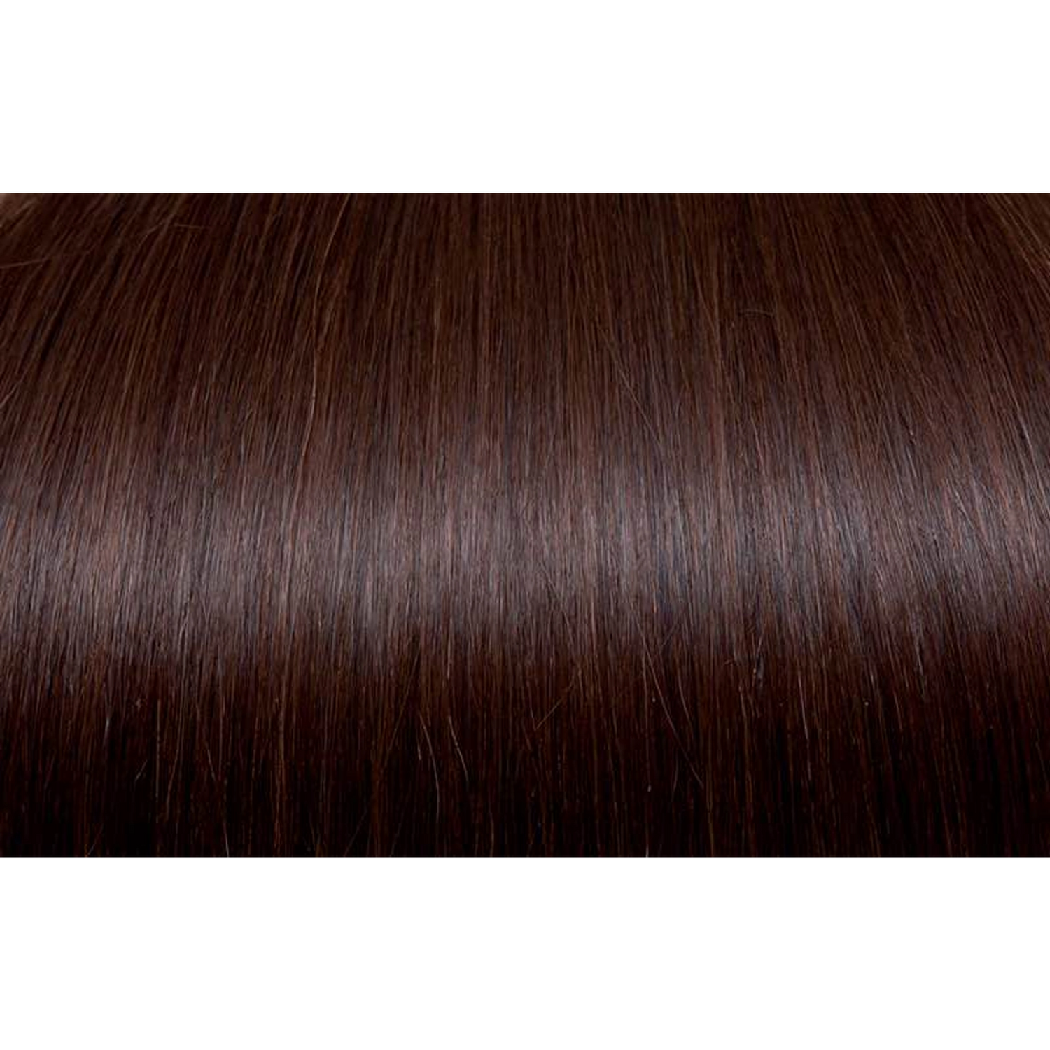 Seiseta - Hair Color | Najafi Cosmetics
