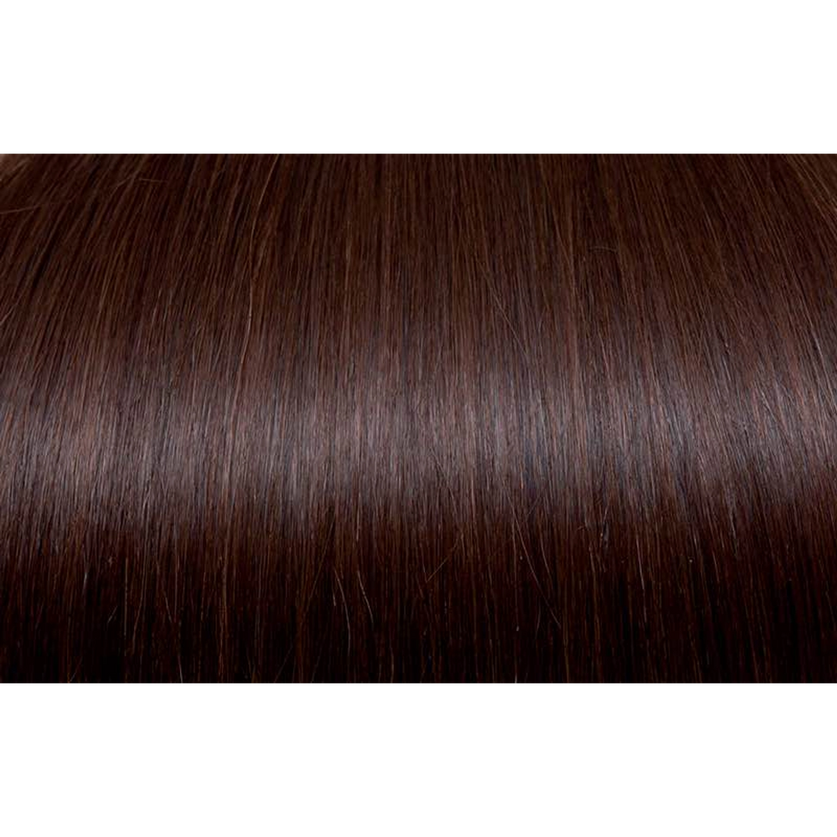 Seiseta - Hair Color | Najafi Cosmetics