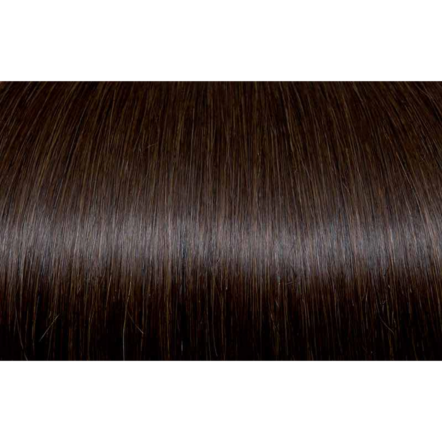 Seiseta - Hair Color | Najafi Cosmetics