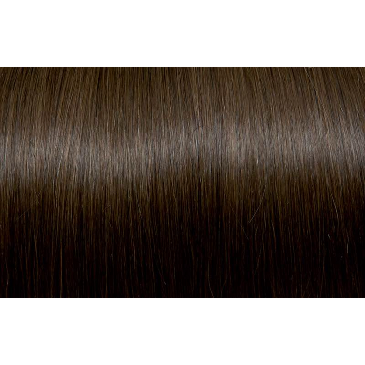Seiseta - Hair Color | Najafi Cosmetics