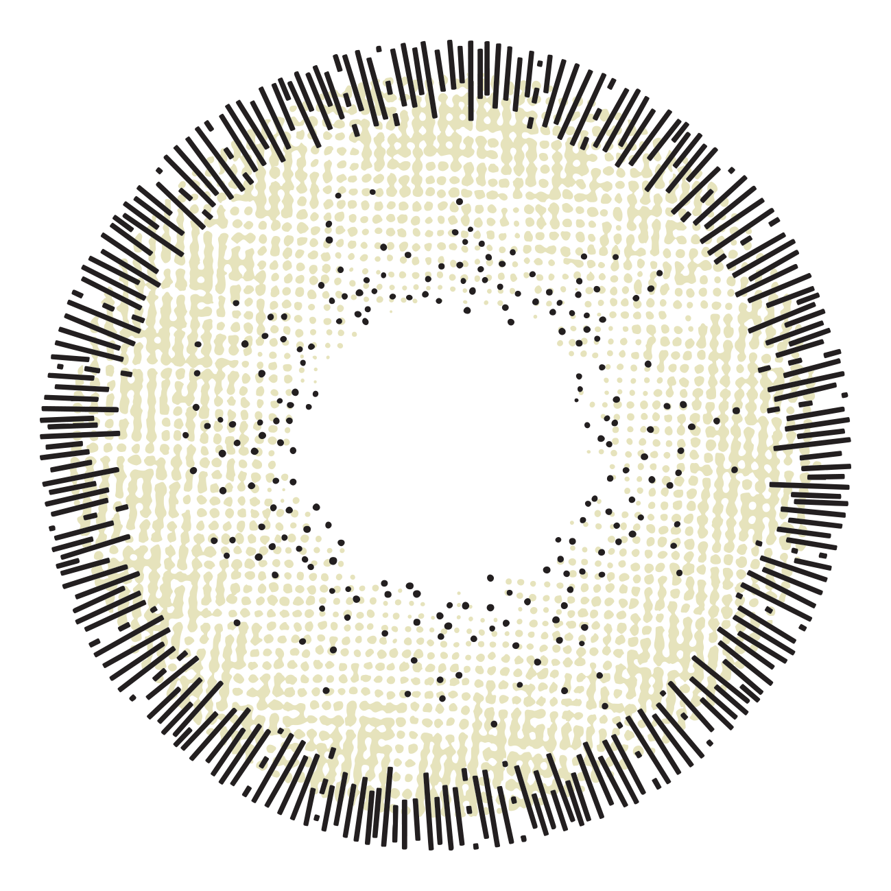 Melanina Colored Lenses Dubai